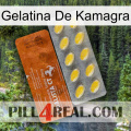 Kamagra Jelly 42